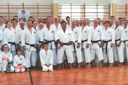 Karate edzőtábor Gyulán-Sáfár Sensei vezetésével