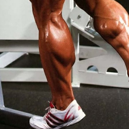 Single Leg Calf raises