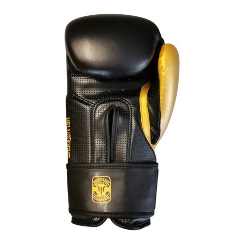 Boxkesztyű, HELL FIGHT, 2026, műbőr, fekete/arany