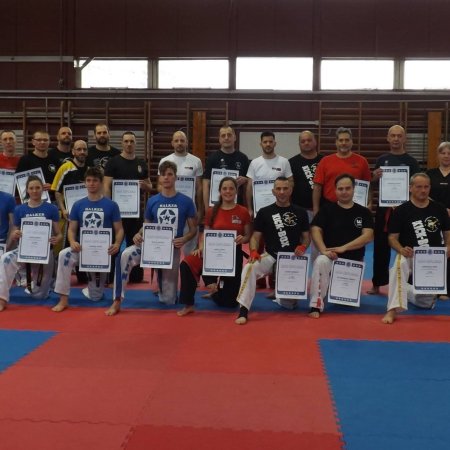 Világbajnokok részvételével tartott danvizsgát a kick-box szövetség