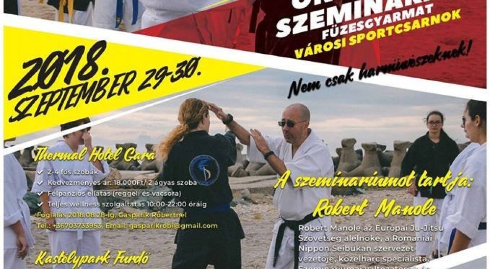 Hanshi Robert Manole IX.DAN Füzesgyarmaton