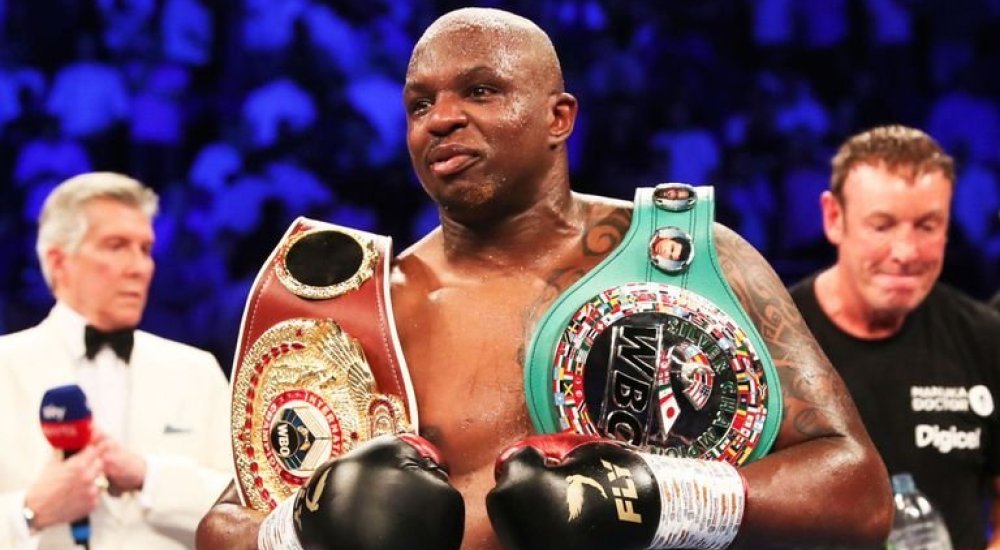 Whyte szerint Wilder nem egy okos bunyós