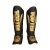 Kick-Box, Thai-Box, MMA, Top Ten
