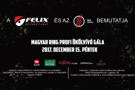 Negyedszer lép ringbe Surman Jr.