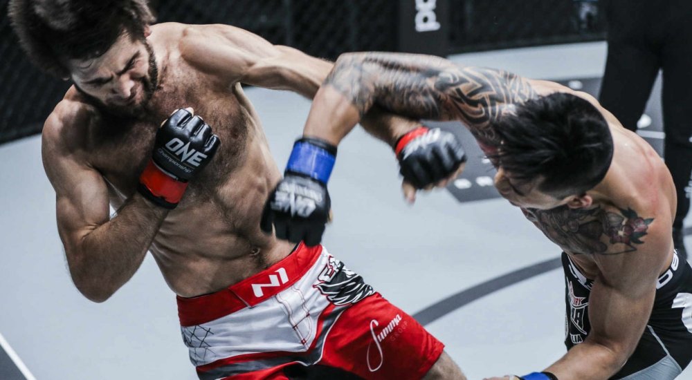 Best of MMA 2018