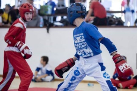 Hammer Máté lehet a győri kick-box Eb egyik csillaga