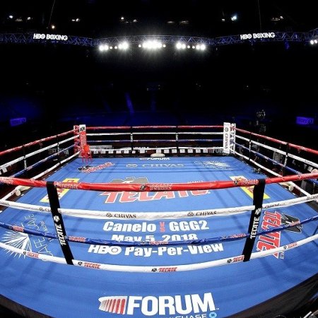 Akik nélkül nincs profi ökölvívás