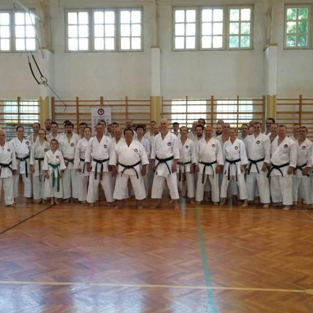 Shotokan karate nemzetközi tábor Gyulán