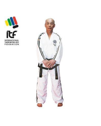 ITF Taekwondo, Samansport, Topten