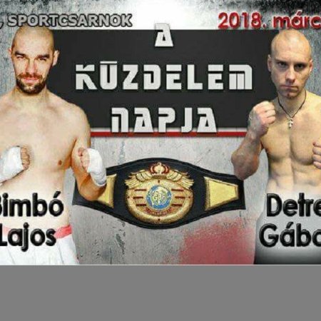 A Küzdelem Napja Gyulán