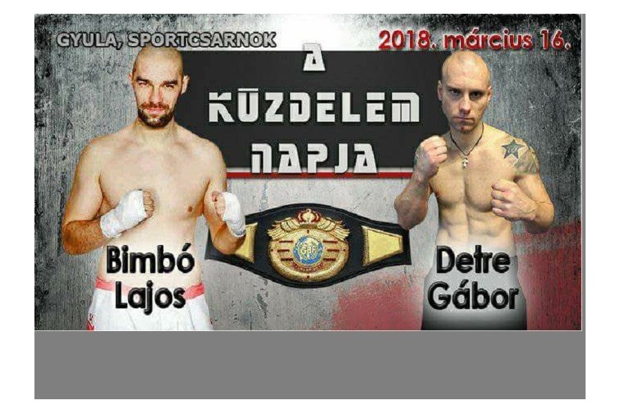A Küzdelem Napja Gyulán