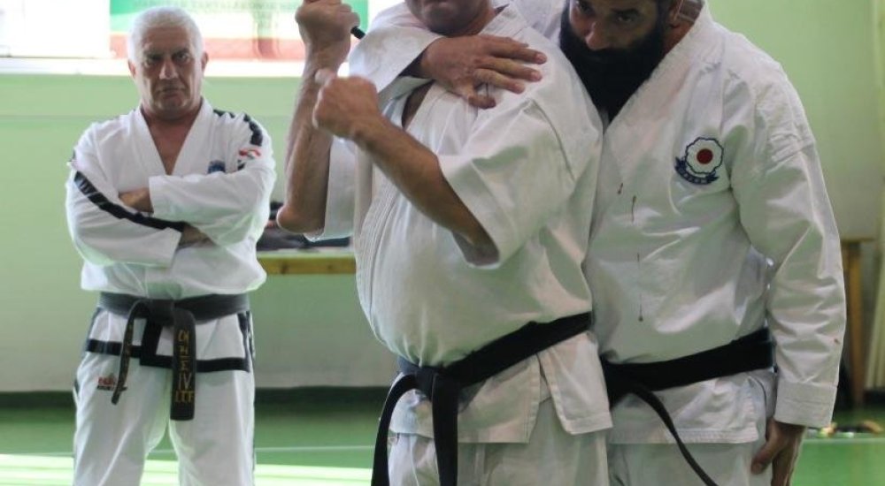 Interjú Hanshi Robert Manole IX.DAN nagymesterrel