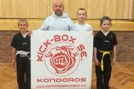 Magyar sikerek internetes kick-boxban