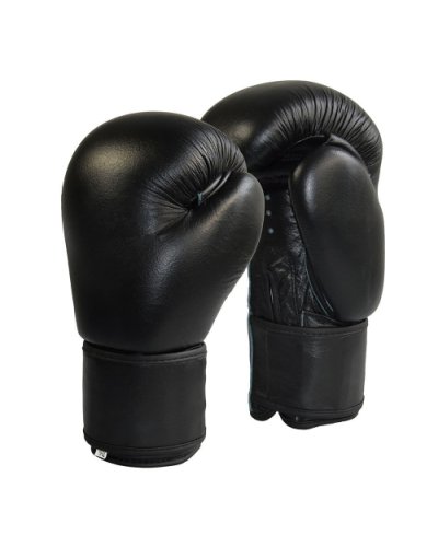 Phoenix, Boxing Gloves, SamanSport