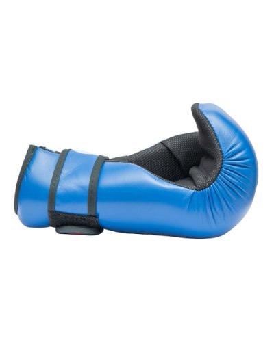 TopTen, WAKO, Pointfighter, SamanSport