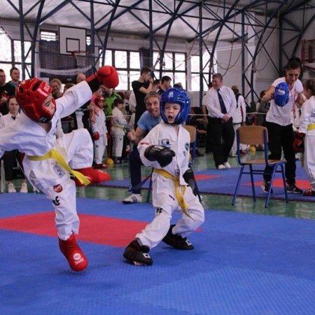 A taekwon-do ünnepe Medgyesegyházán
