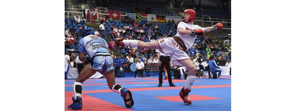 A kick-box Európa-bajnokság eredményei