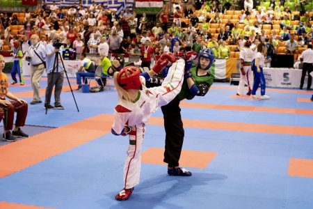 Több mint száz magyar érem a győri kick-box Eb-n