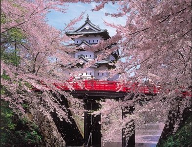 Elkezdődtek a Sakura Matsurik